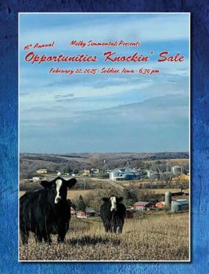 Melby Simmentals 16th Annual Opportunities Knockin' Sale