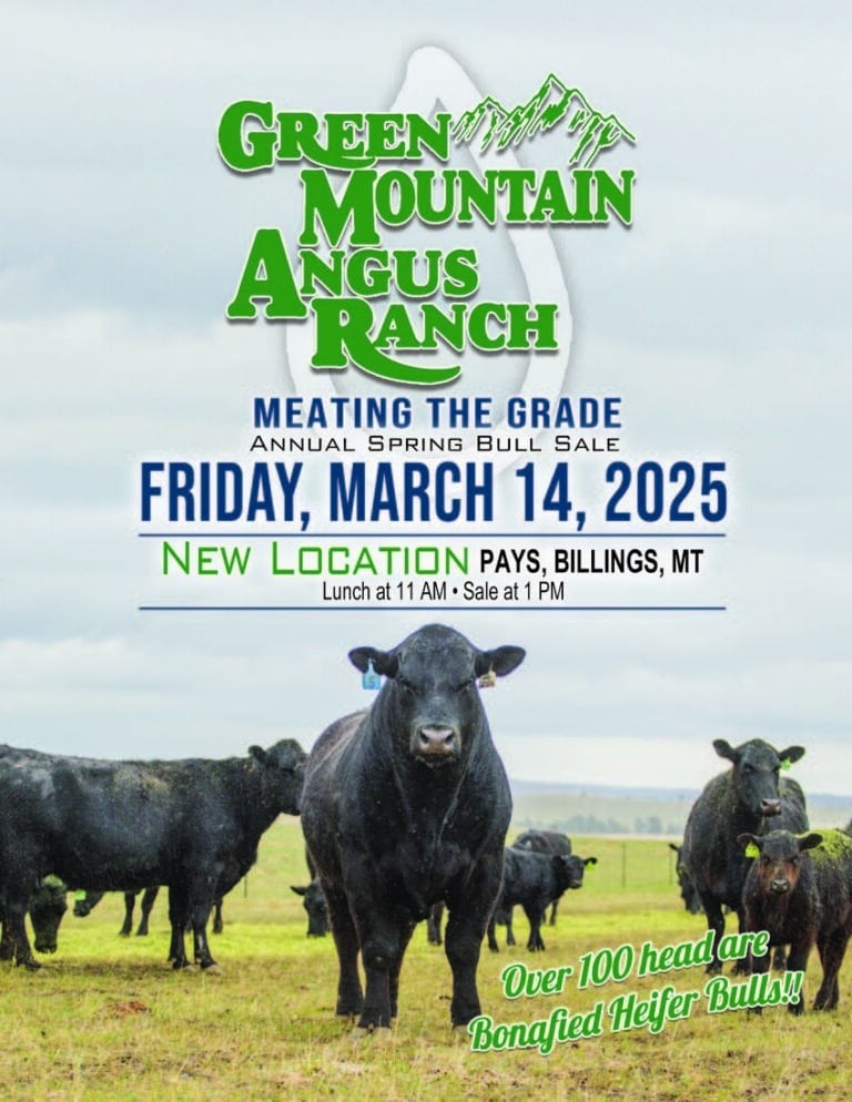 Green Mountain Angus Ranch 2025 Sale Catalog