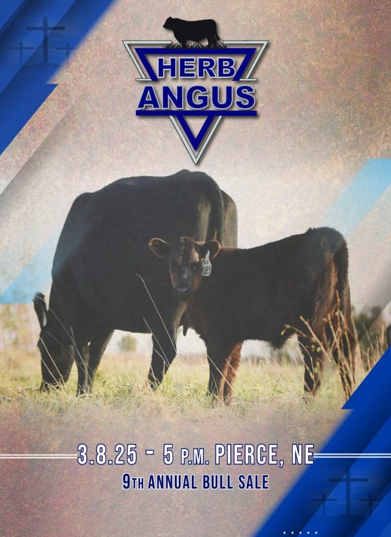 Herb Angus 9th Annual Sale
