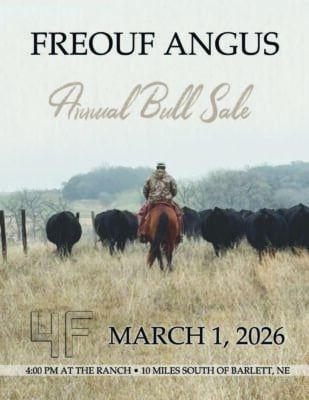 2026 Freouf Angus Bull Sale