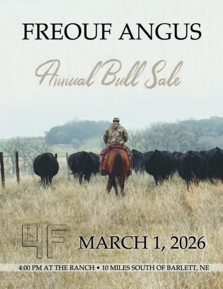 2026 Freouf Angus Bull Sale
