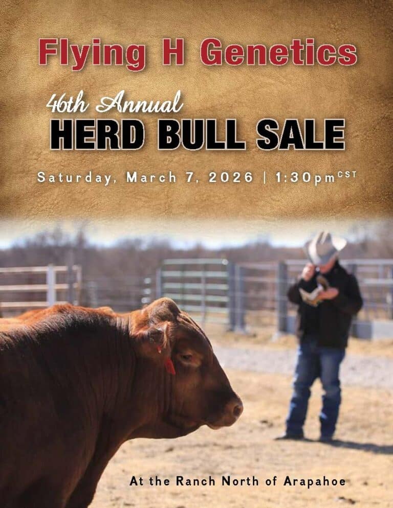 Flying H Genetics 46th Annual Herd Bull Sale
