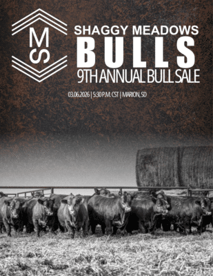 Shaggy Meadows 9th Annual Bull Sale