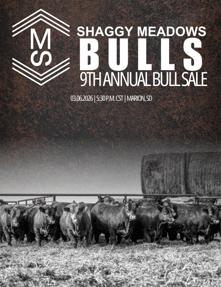 Shaggy Meadows 9th Annual Bull Sale
