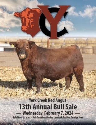 York Creek Red Angus 14th Annual Production Sale - Smart Cattle-Logs